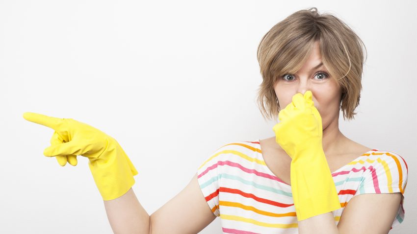 Cleaning Made Simple: The Convenience of a Professional Housekeeper